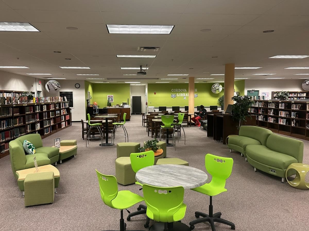 Library picture